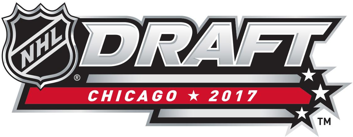 NHL Draft 2017 Alternate Logo iron on transfers for clothing